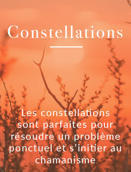 Stages constellations chamanique