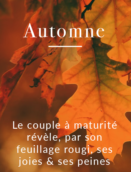 Temps de l'amour : automne